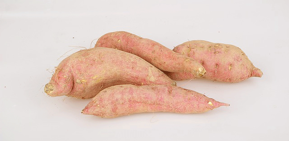 Bild på sötpotatis