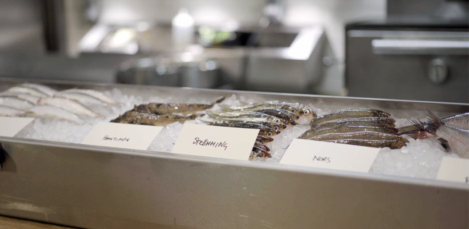 Olika fiskar som strömming och nors ligger på is i en fiskdisk.