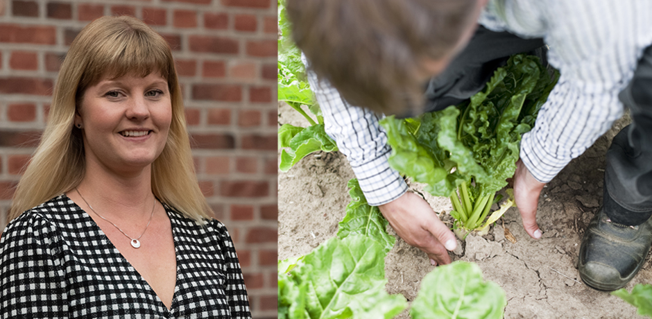 Bildkollage med Sara Arvidsson och man som arbetar med odling 