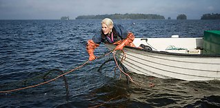 Hållbart fiske har lett fram till MSC-certifiering och skyddad ursprungsbeteckning för Hjälmargös