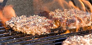 Grillning med smak av det naturligt vilda