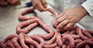 Svensk charktradition är kartlagd