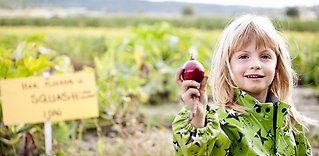 Målen för den svenska livsmedelsstrategin