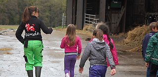 Webbplatsen Bonden i skolan tar barnen till gården